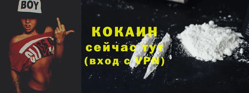 mega онион  Лобня  COCAIN Fish Scale 